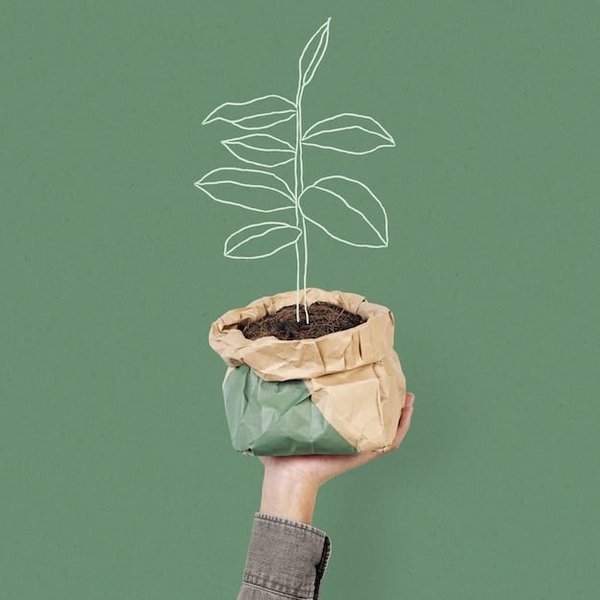 La gemmothérapie est-ce la solution ultime de santé naturelle ?